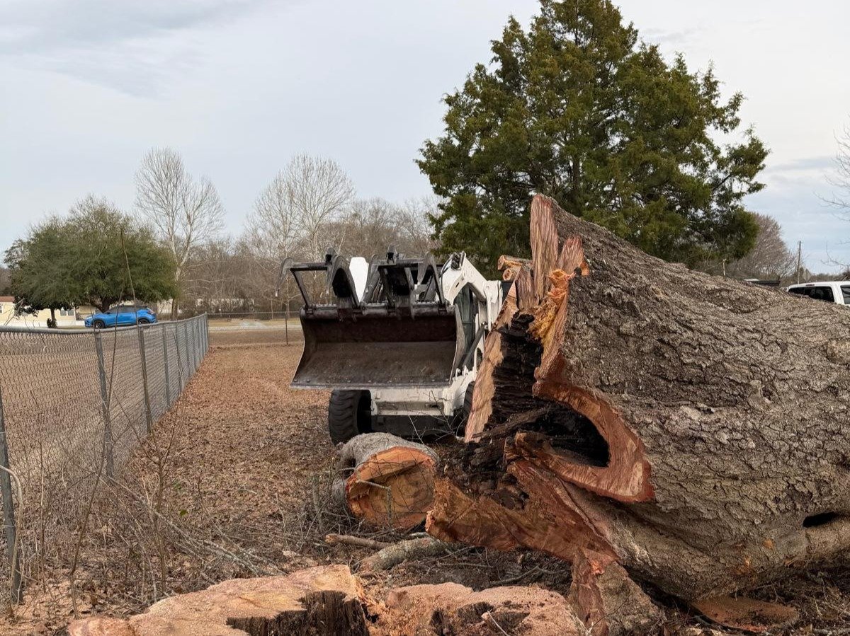 El Costeño Tree Service LLC